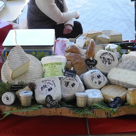 Discret, Apaisant, Calme Entre Et Montagne, Thermalisme Alpehytte Isolaccio-di-Fiumorbo